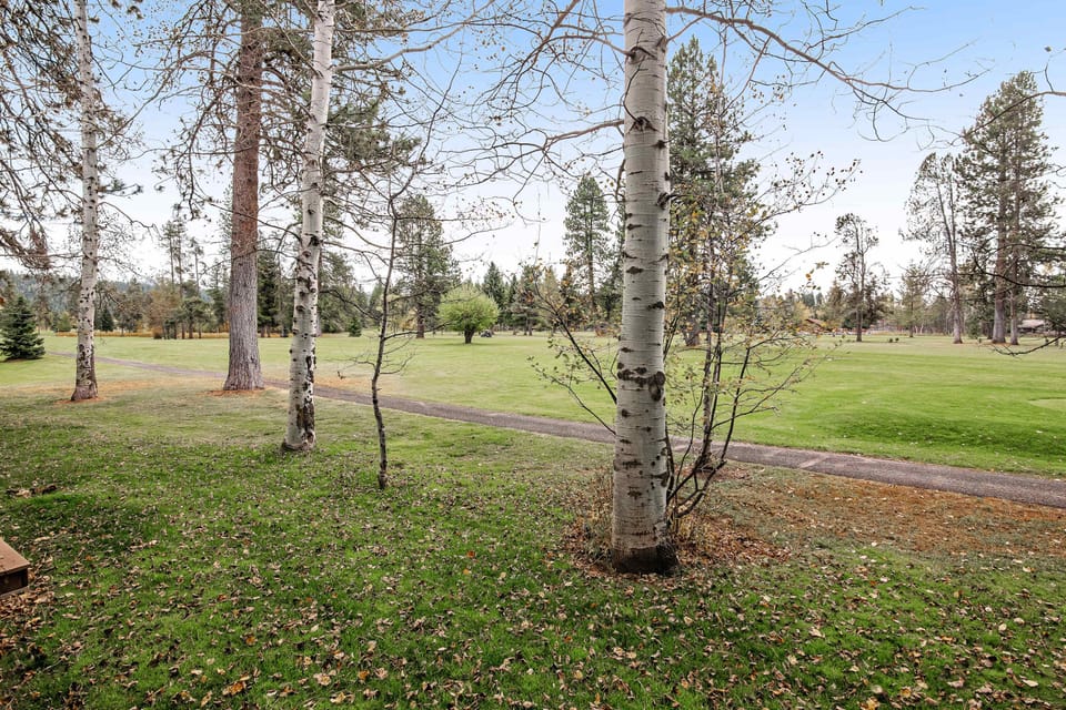 Backyard View