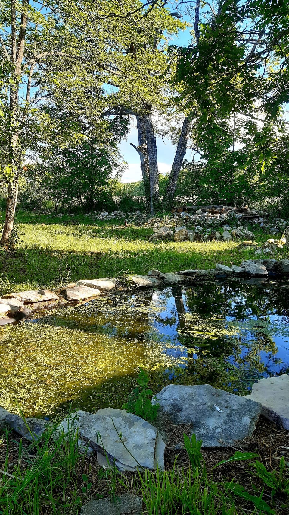 Property grounds