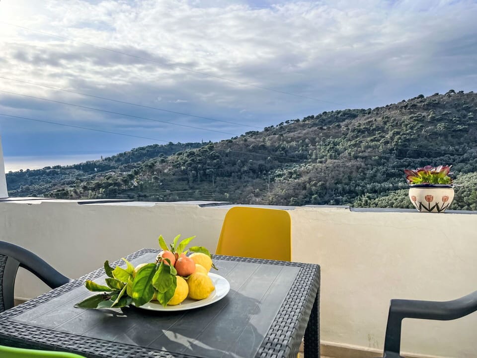 Furniture, Outdoor Furniture, Table, Chair, Outdoor Table, Garden, Kitchen & Dining Room Table, Patio, Restaurant, Flowerpot