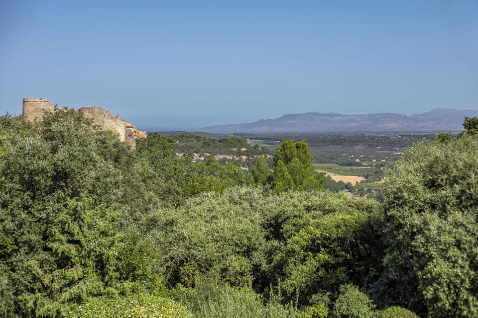 View from the garden