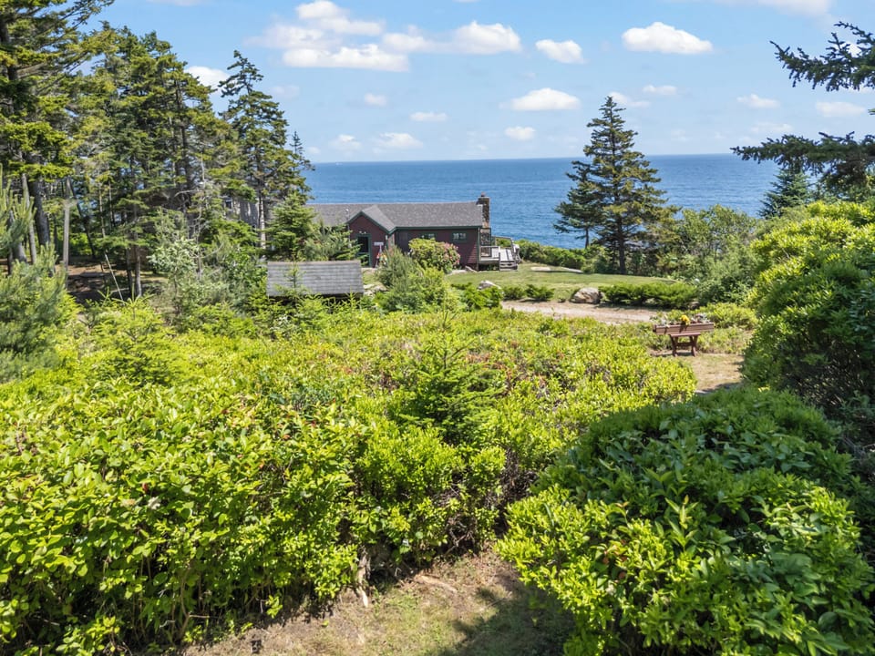 View from the deck.