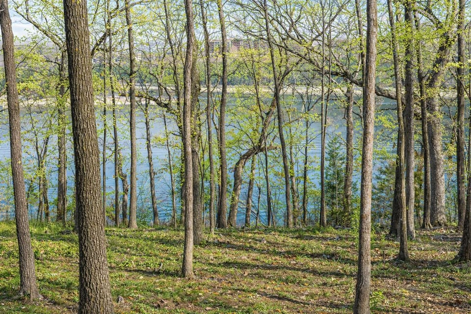 Walk to the lake!