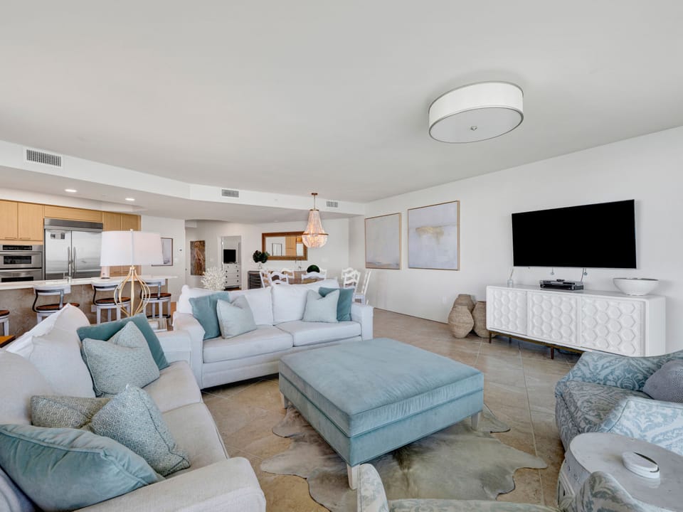 Living Area - Queen Sleeper Sofa and TV