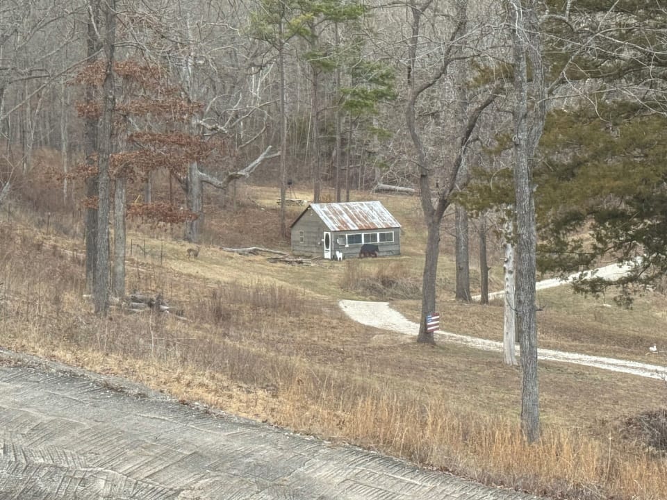 Part of the view at deer hollow