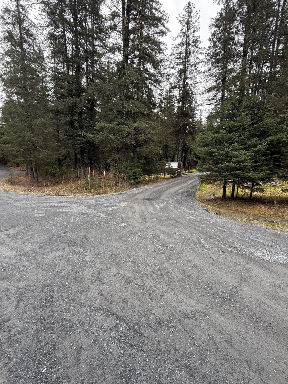 driveway leading up to the yurt campsite 