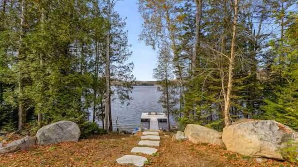Path leading to the lake
