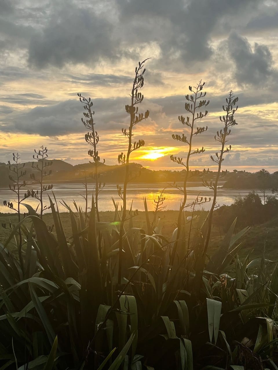 Sunset view