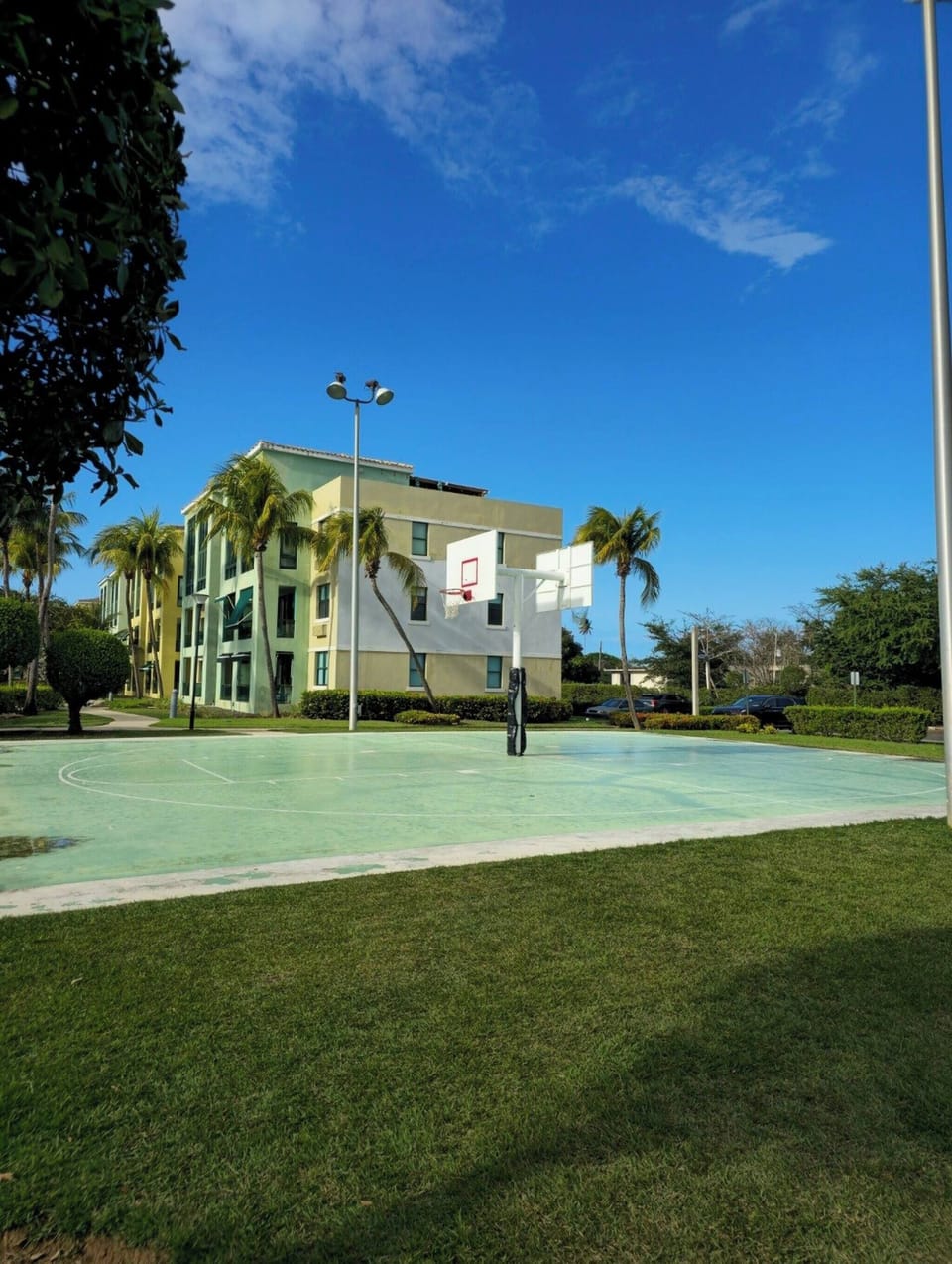 Sport court
