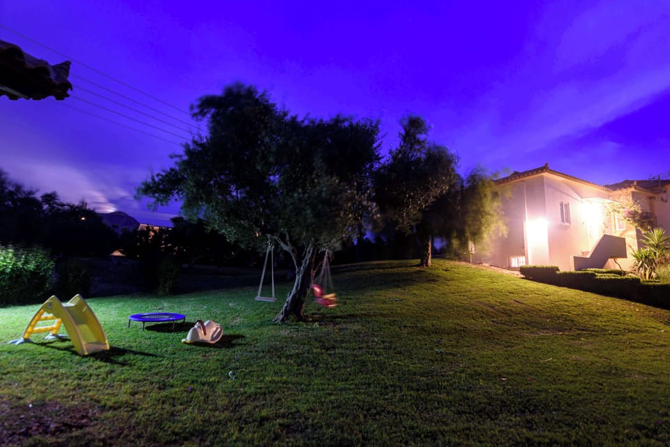 Garden at Night with Ambient Lighting