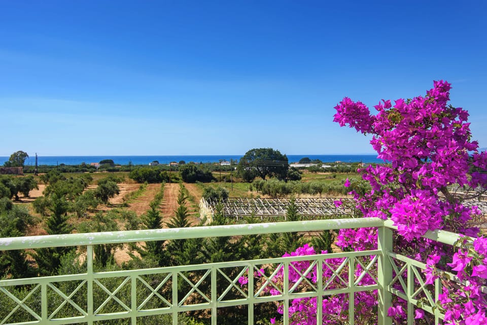 Balcony View with Bougainvillea and Countryside Landscape