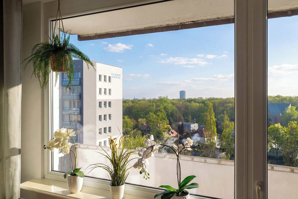 A view from a window looking out at surrounding buildings, green trees, and a clear blue sky.
