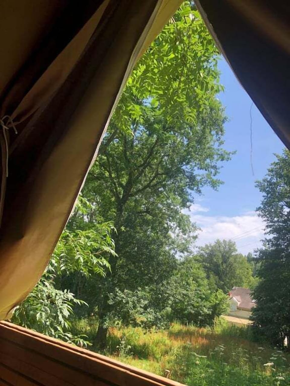 View from property