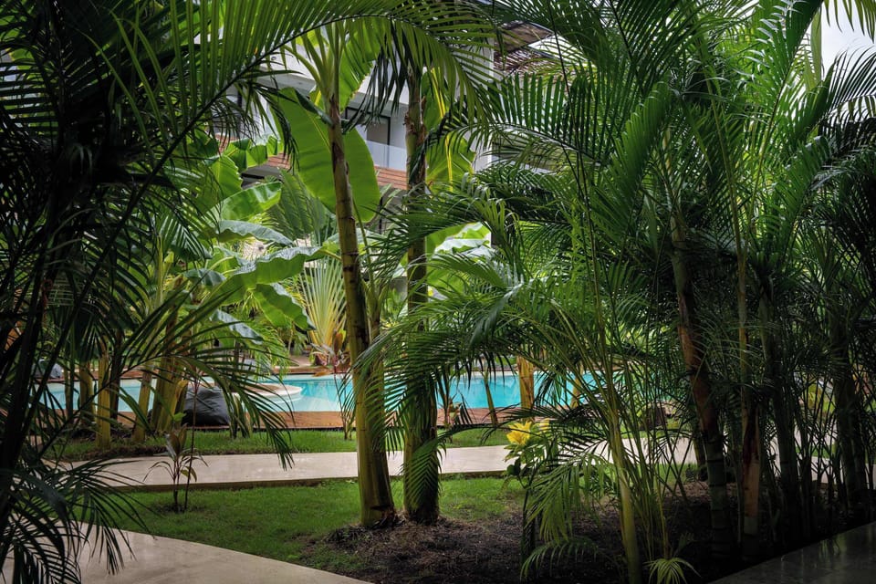 Garden Path to Swimming Pool
