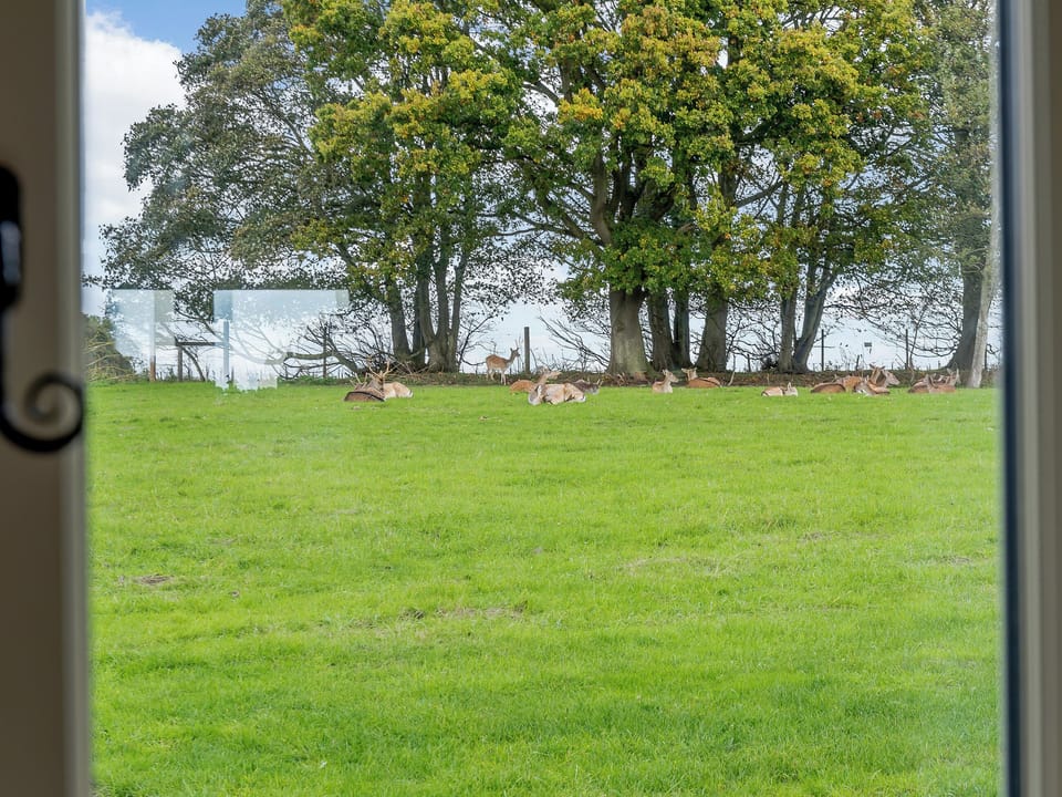 View | Enchanted Cottage - Salhouse Hall, Salhouse, near Norwich