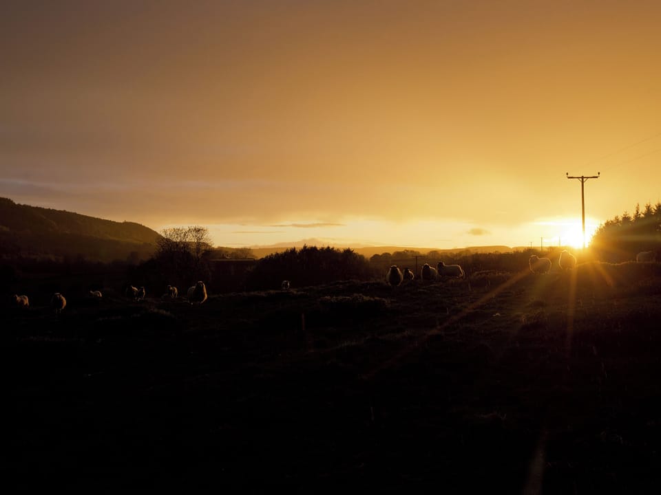 Sunset over the sheep fields | Harwood Dale, near Scarborough