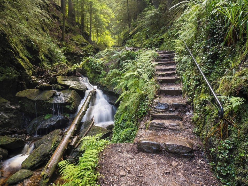 Surrounding area | Nursery Cottage, Kilmun