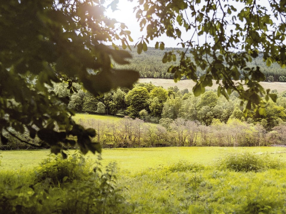 Surrounding area | Clachan Cottage - Atholl Estate, Pitlochry
