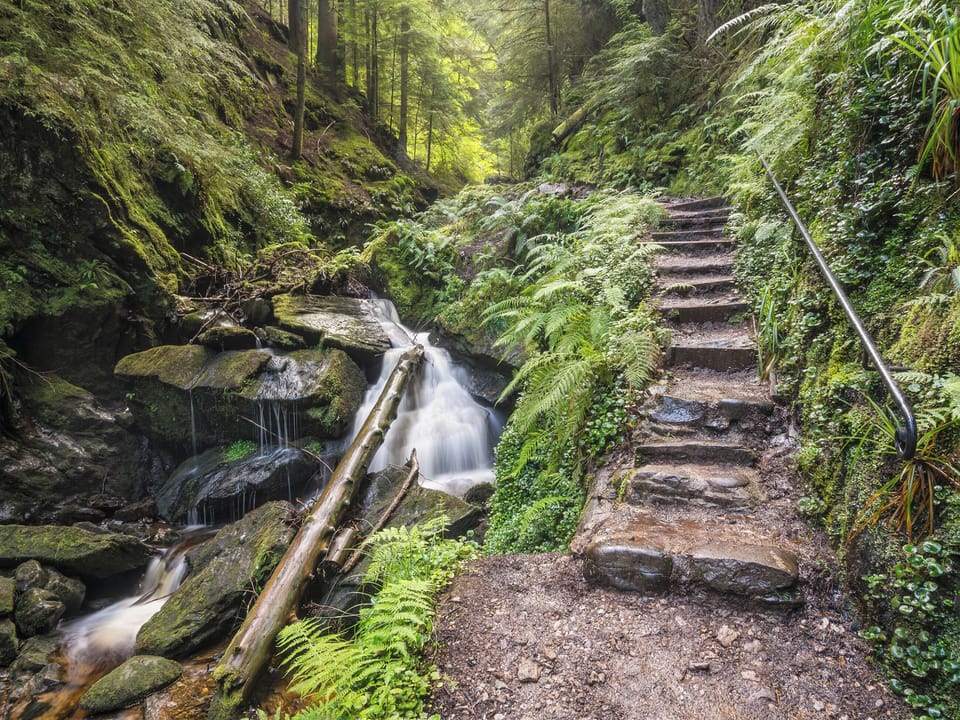 Puck&rsquo;s Glen | Glen Oirig, Dunoon