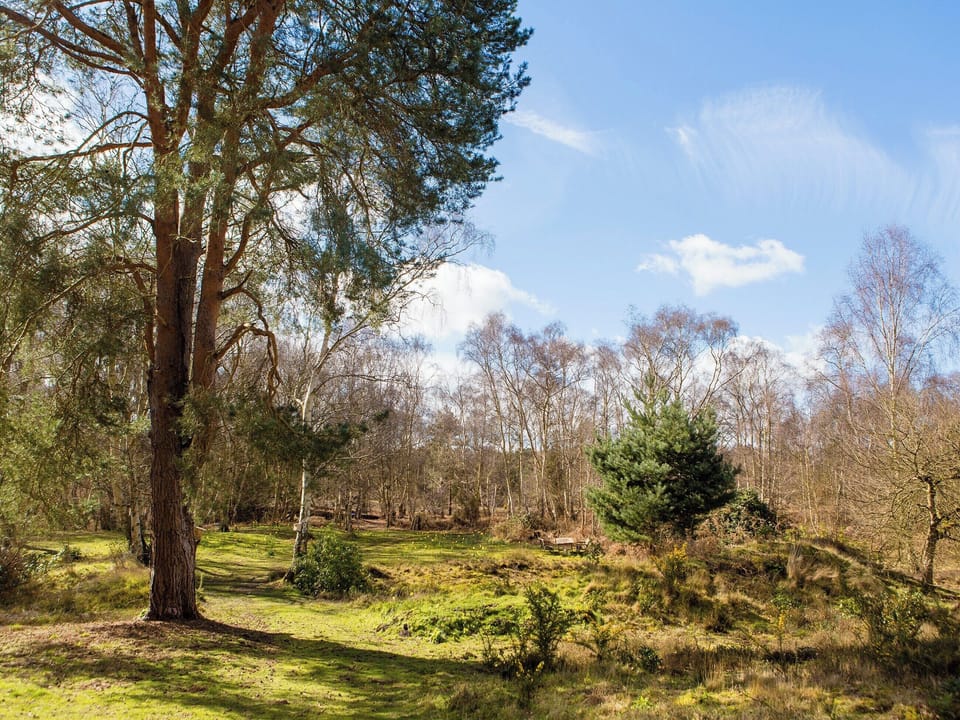 Lovely garden areas | The Retreat, Aldringham, near Aldeburgh
