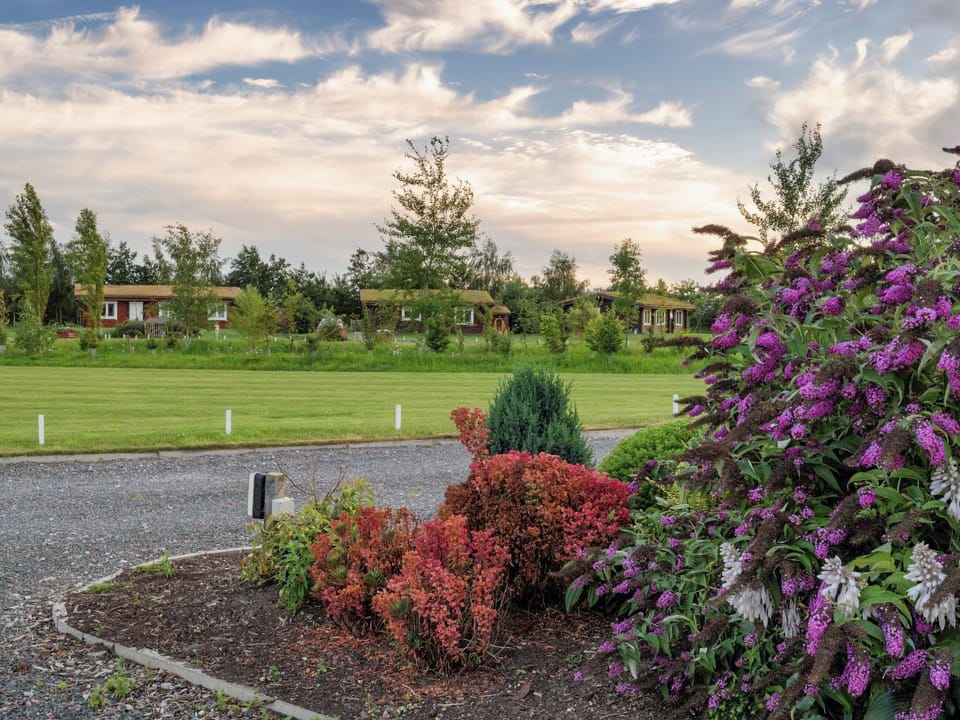 Around the complex | Pheasant Lodge - Mackinder Farms, Brayton, Selby