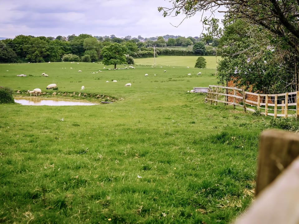 Extensive rural landscape | Millmoor Farm, Bickley, near Malpas