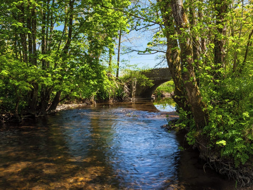 Surrounding area | Orchard Cottage at Mornacott - Mornacott Cottages, Bishops Nympton