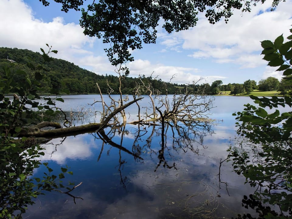 Setting | Pine Chalet 21 - Loch Monzievaid, Crieff