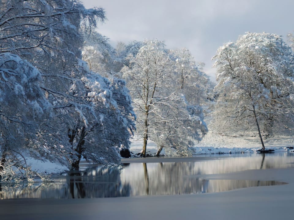 Setting | Cedar Chalet 19 - Loch Monzievaid, Crieff