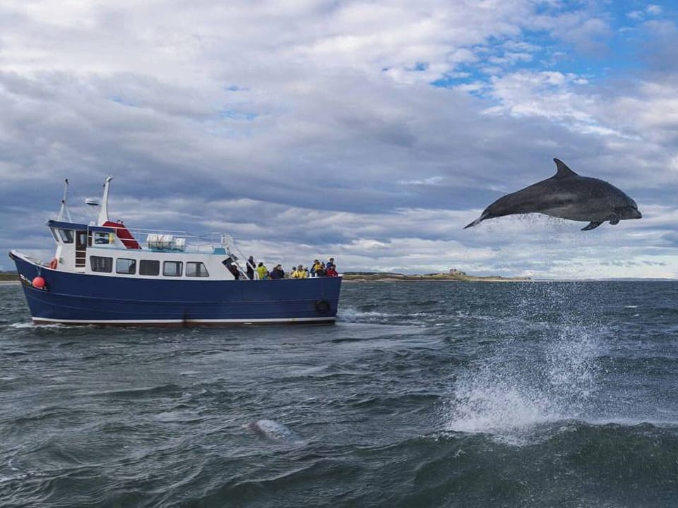 Local attraction | Town Farm Cottages, Beadnell