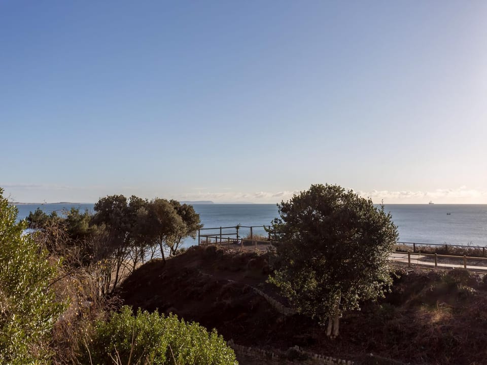 View | Ospreys, Bournemouth
