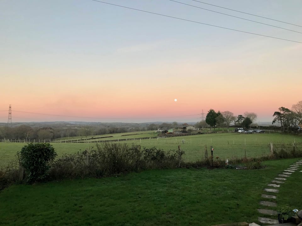 View | Meadowsweet - Treetops Retreats, Hailsham
