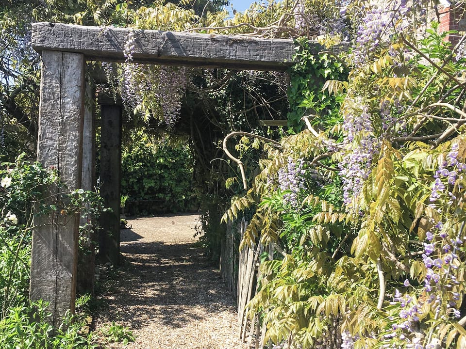Garden and grounds | Swallow, Blackbird - Champernhayes, Wooton Fitzpaine, near Charmouth