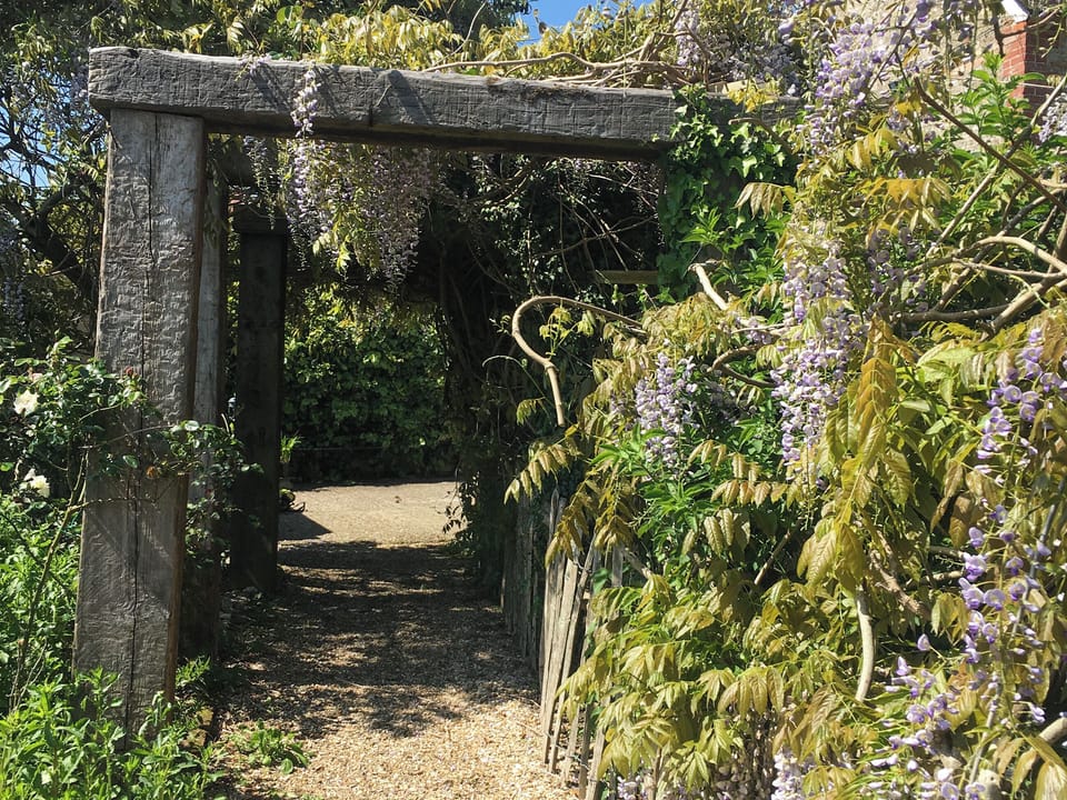 Garden | Lark - Champernhayes, Wooton Fitzpaine, near Charmouth