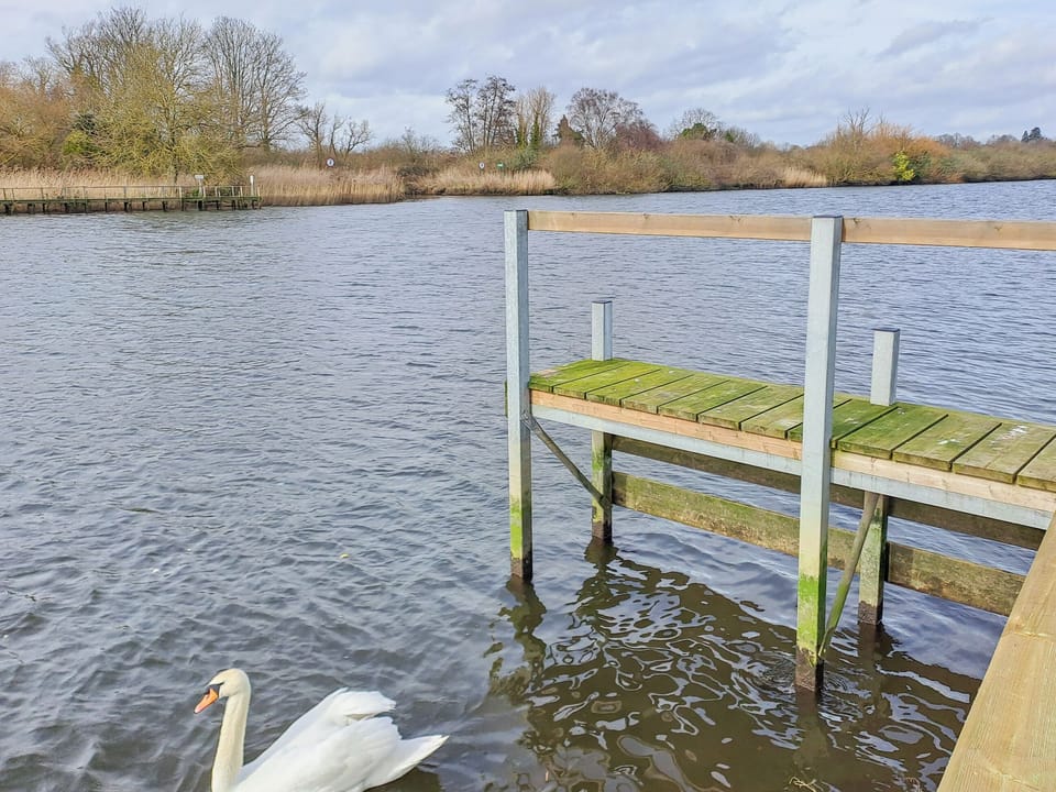 View | Nature&rsquo;s Nook - Norfolk Holiday Lodges, Brundall