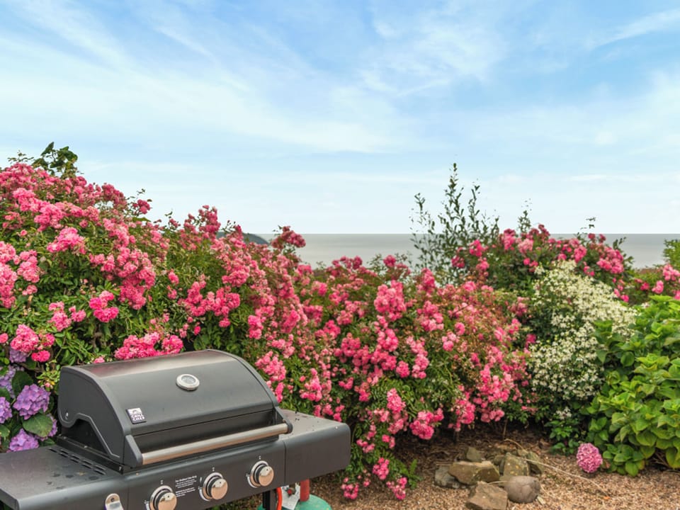 Outdoor | Lower Upover - Upover, Woolacombe