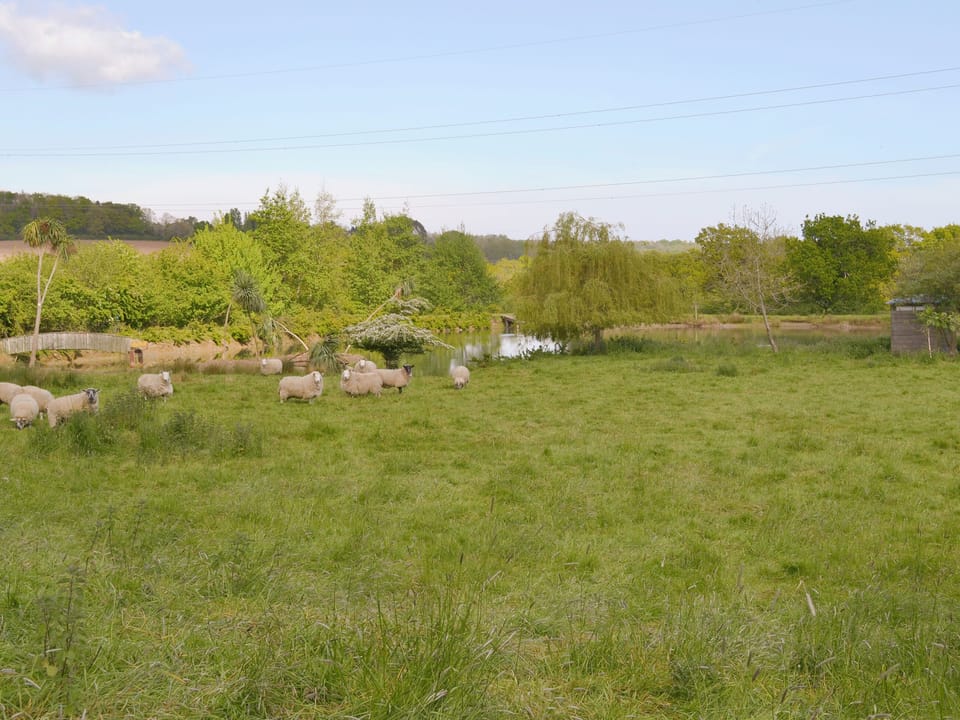 Shared facilities &ndash; Gardens and grounds | Little Dunley Cottages, Bovey Tracey