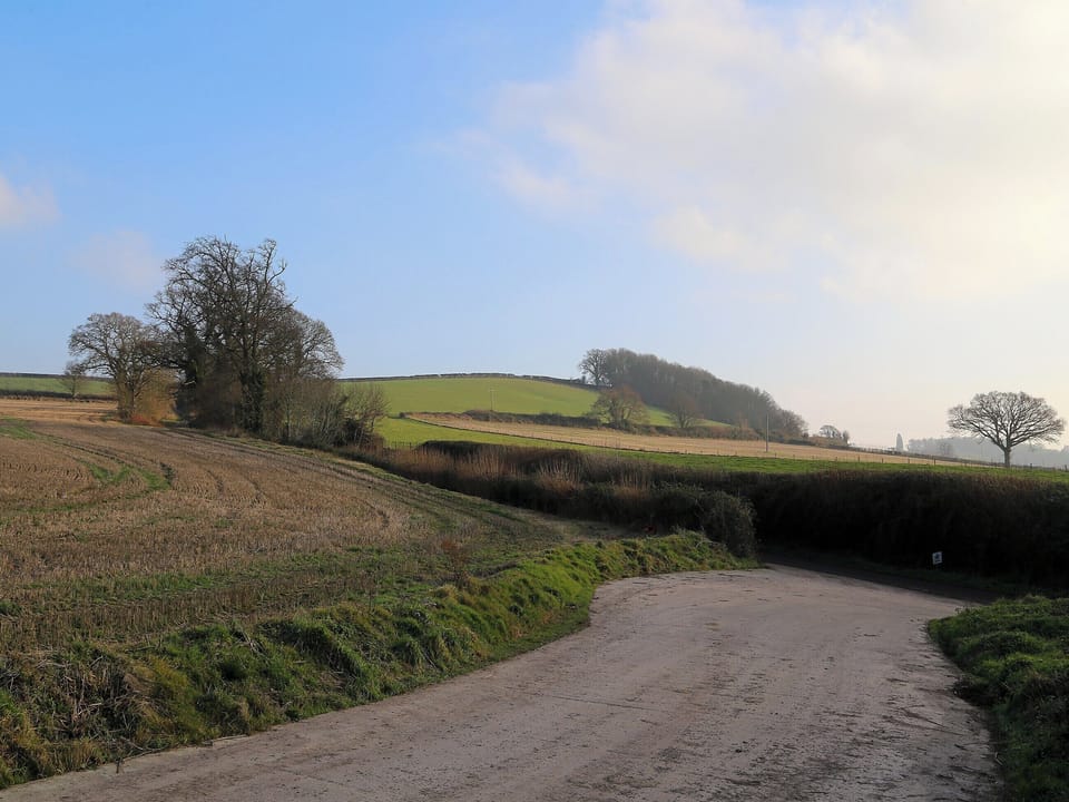 Exterior | Grapevine Cottage, Near Ilminster