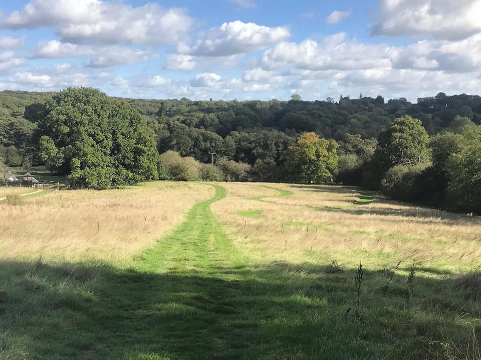 Dog paddock | Chestnut Cottage, Uckfield