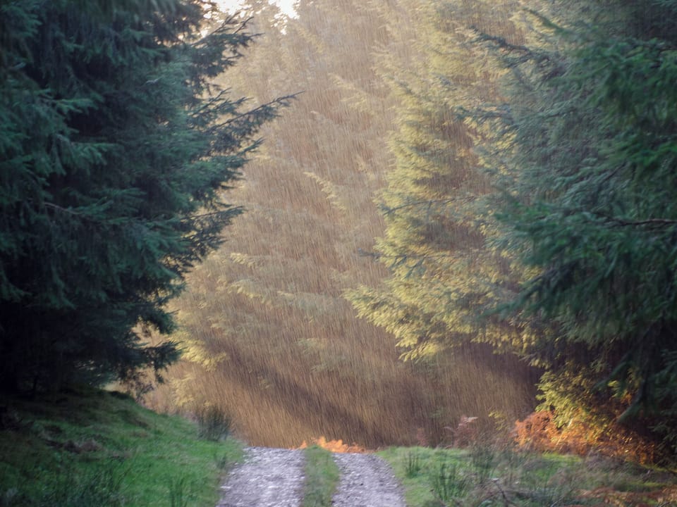 Surrounding area | Culdoach - Barwhillanty Estate, Parton, near Castle Douglas