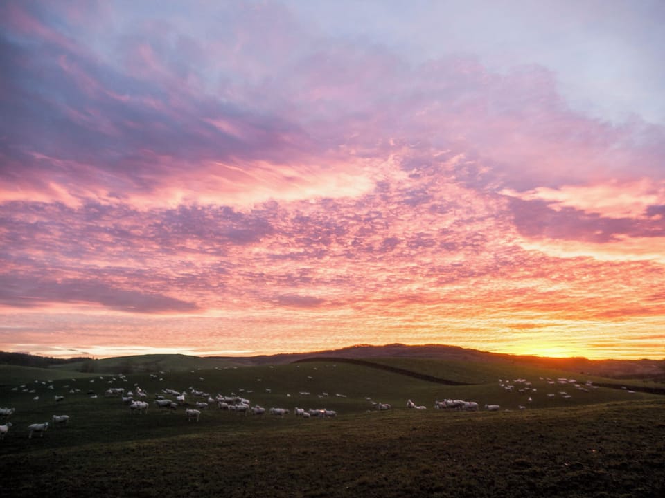 Surrounding area | Stables House - Barwhillanty Estate, Parton, near Castle Douglas