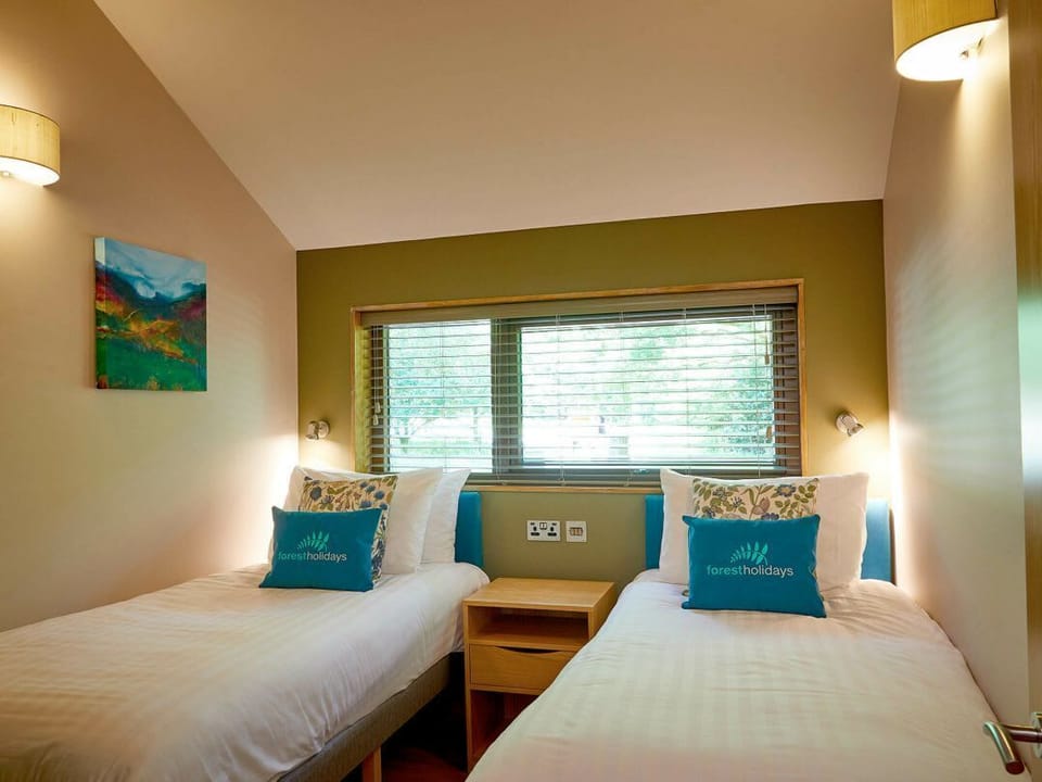 Beddgelert Silver Birch - freshly inspired design wheelchair accessible cabin