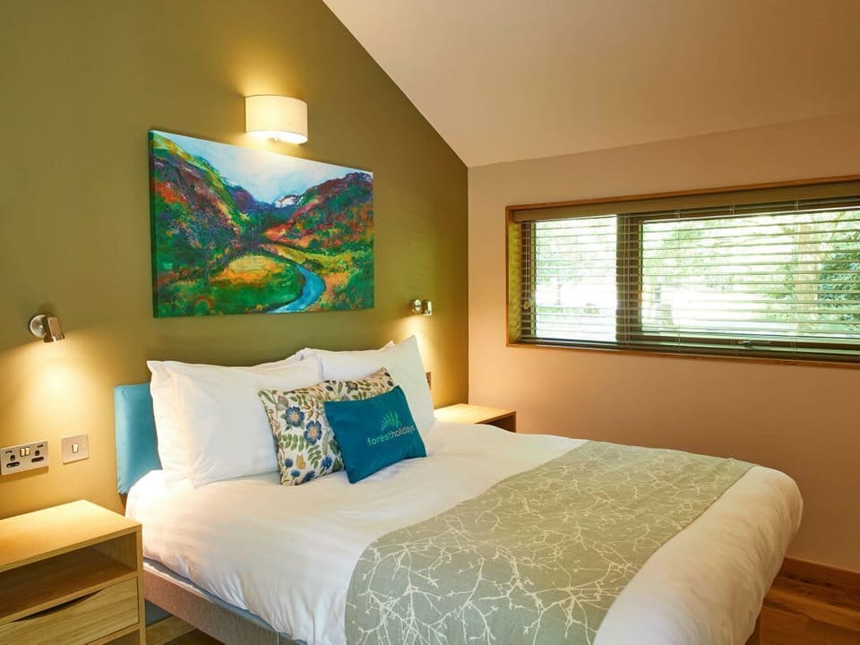 Beddgelert Silver Birch - freshly inspired design wheelchair accessible cabin