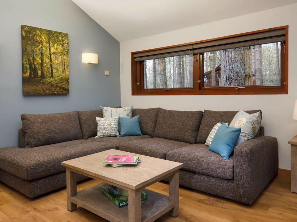 Strathyre New Style Silver Birch