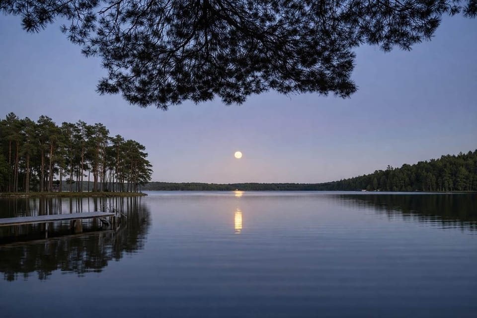 298920419 490781909720955 3284165318004058353 n