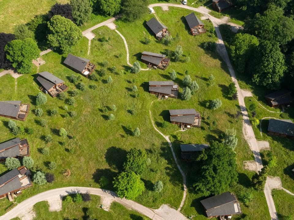 Forest of Dean Meadow - Golden Oak