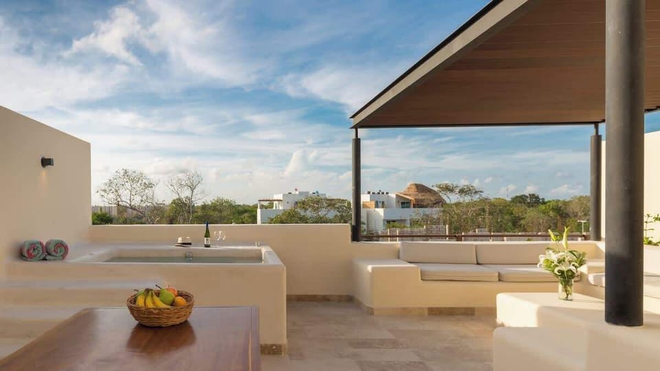 Private rooftop with plunge pool, Grill.