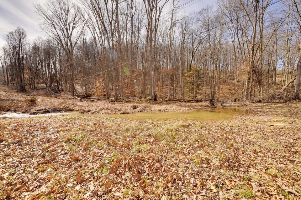 Wooded Backyard w/ Creek