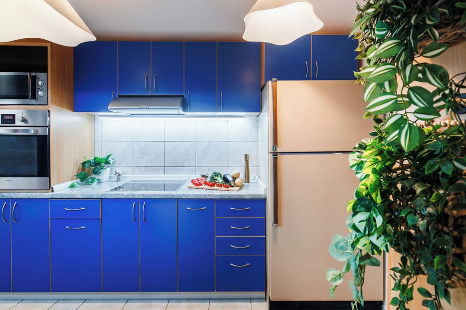 [Kitchen] Focus on cooking, not cleaning - dishwasher included