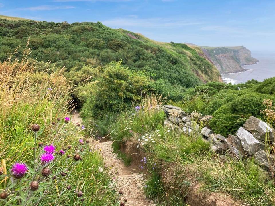 Surrounding area | The Badger Sett, Hinderwell, near Staithes