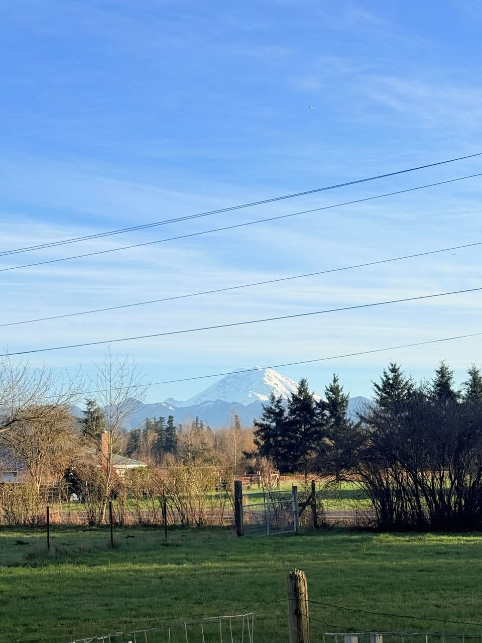 Mt Rainier view from the balcony from the living room
